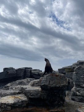 鴨川シーワールドに投稿された画像（2025/4/5）