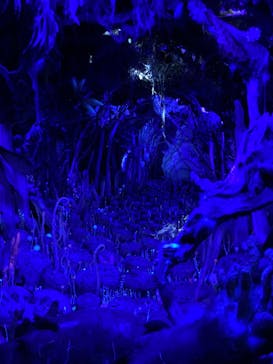 金曜ロードショーとジブリ展　三重展に投稿された画像（2025/4/5）