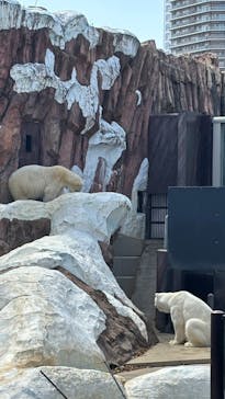 恩賜上野動物園に投稿された画像（2025/4/5）