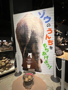  うんち展　-No UNCHI, No LIFE-に投稿された画像（2025/4/5）
