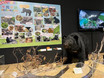  うんち展　-No UNCHI, No LIFE-に投稿された画像（2025/4/5）