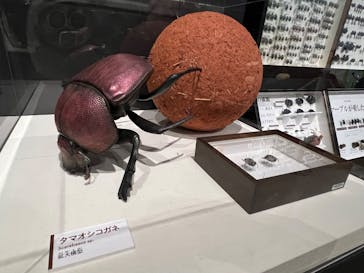  うんち展　-No UNCHI, No LIFE-に投稿された画像（2025/4/5）