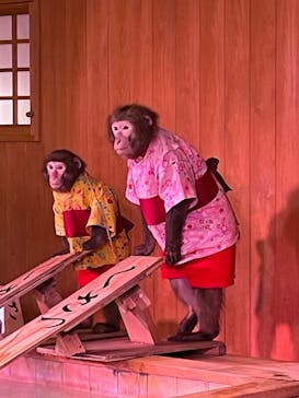 おさるの湯もみ処　おさ湯に投稿された画像（2025/4/5）