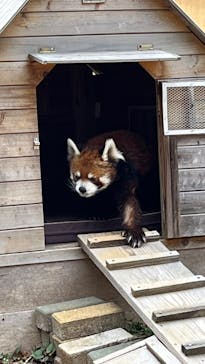 千葉市動物公園に投稿された画像（2025/4/5）
