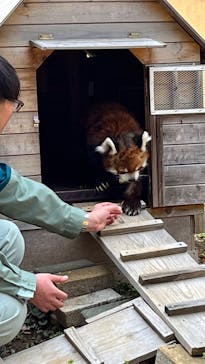 千葉市動物公園に投稿された画像（2025/4/5）