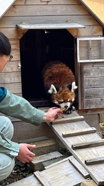千葉市動物公園に投稿された画像（2025/4/5）