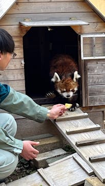 千葉市動物公園に投稿された画像（2025/4/5）