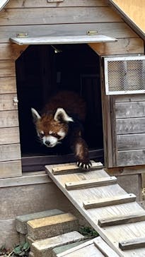 千葉市動物公園に投稿された画像（2025/4/5）