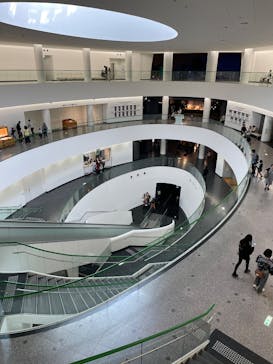 福井県立恐竜博物館に投稿された画像（2025/4/5）