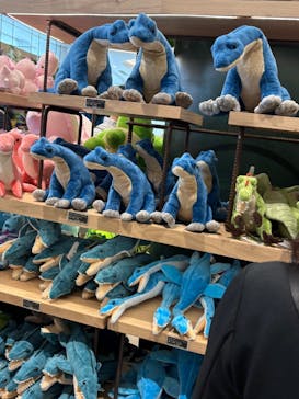 福井県立恐竜博物館に投稿された画像（2025/4/5）