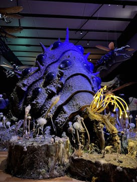 金曜ロードショーとジブリ展　三重展に投稿された画像（2025/4/5）