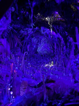 金曜ロードショーとジブリ展　三重展に投稿された画像（2025/4/5）