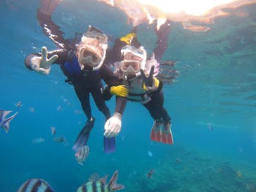 武藤潜水に投稿された画像（2025/4/5）