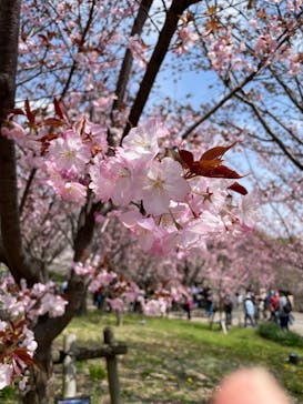 名古屋市東山動植物園に投稿された画像（2025/4/5）