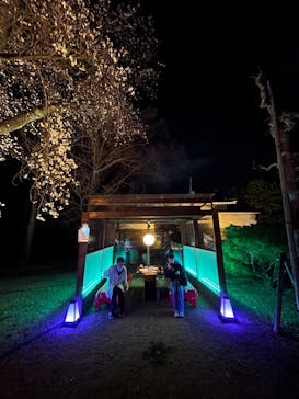 NAKED meets 二条城 2025 観月に投稿された画像（2025/4/5）