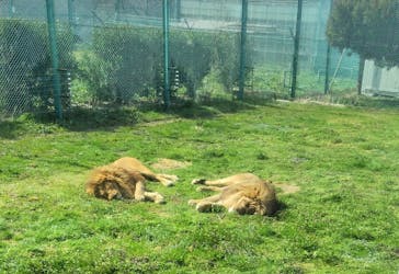 岩手サファリパークに投稿された画像（2025/4/5）