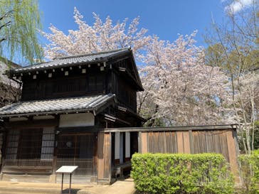 江戸東京たてもの園に投稿された画像（2025/4/5）