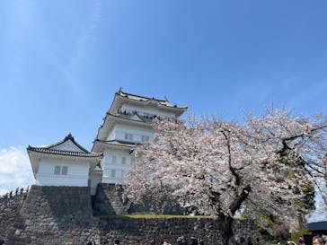 小田原城に投稿された画像（2025/4/5）