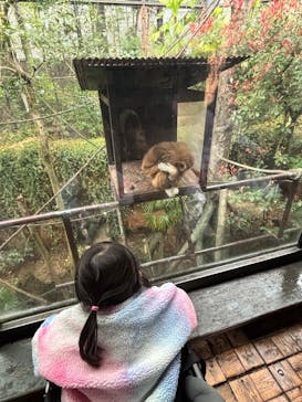 恩賜上野動物園に投稿された画像（2025/4/5）