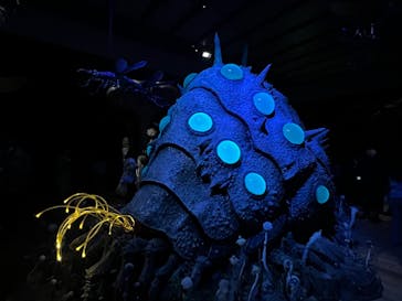 金曜ロードショーとジブリ展　三重展に投稿された画像（2025/4/5）