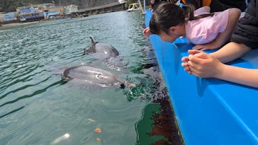 下田海中水族館に投稿された画像（2025/4/5）