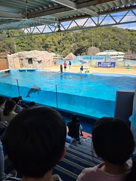 下田海中水族館に投稿された画像（2025/4/5）