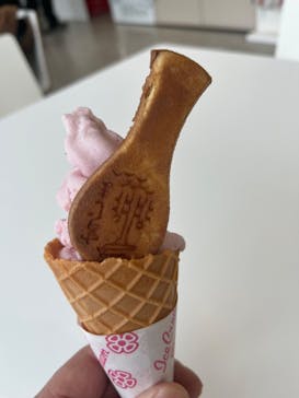 広島平和記念資料館に投稿された画像（2025/4/5）