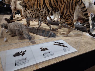  うんち展　-No UNCHI, No LIFE-に投稿された画像（2025/4/5）