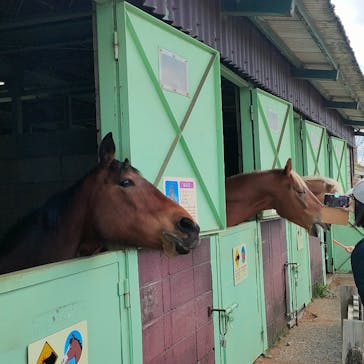 マザー牧場に投稿された画像（2025/4/5）