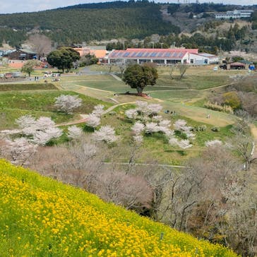 マザー牧場に投稿された画像（2025/4/5）