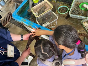 下田海中水族館に投稿された画像（2025/4/5）