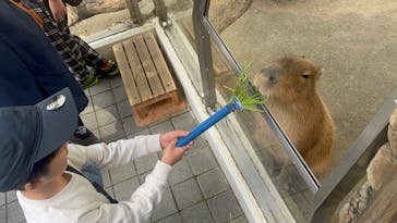 世界淡水魚園水族館　アクア・トトぎふに投稿された画像（2025/4/5）