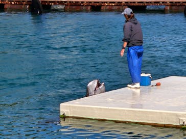 太地町立くじらの博物館に投稿された画像（2025/4/5）