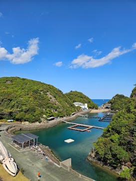 太地町立くじらの博物館に投稿された画像（2025/4/5）