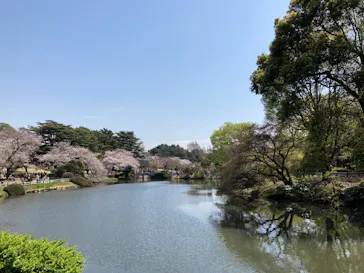 新宿御苑に投稿された画像（2025/4/5）