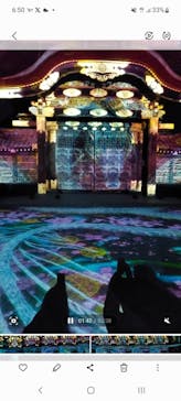 NAKED meets 二条城 2025 観月に投稿された画像（2025/4/5）