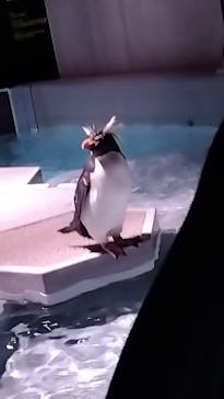 AOAO SAPPOROに投稿された画像（2025/4/5）