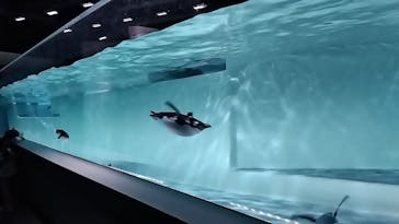 AOAO SAPPOROに投稿された画像（2025/4/5）