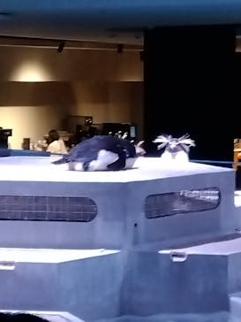 AOAO SAPPOROに投稿された画像（2025/4/5）