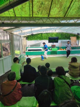 おさるランド＆アニタウン　日光さる軍団劇場に投稿された画像（2025/4/5）