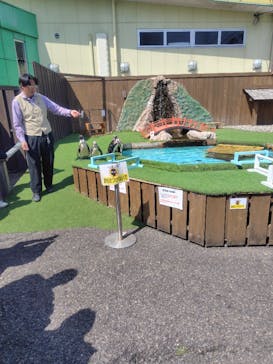 おさるランド＆アニタウン　日光さる軍団劇場に投稿された画像（2025/4/5）