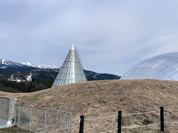 福井県立恐竜博物館に投稿された画像（2025/4/5）