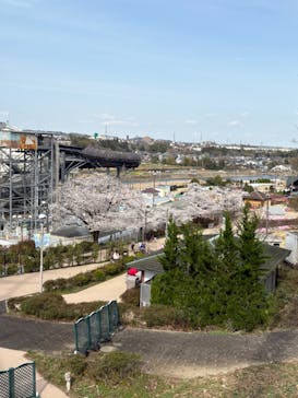 東京サマーランドに投稿された画像（2025/4/5）