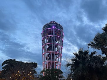 江の島1dayに投稿された画像（2025/4/5）