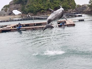 太地町立くじらの博物館に投稿された画像（2025/4/5）