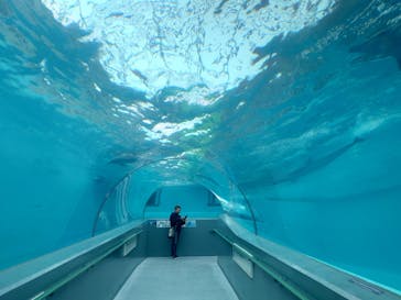 太地町立くじらの博物館に投稿された画像（2025/4/5）