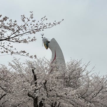 万博記念公園に投稿された画像（2025/4/5）