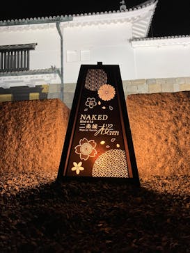 NAKED meets 二条城 2025 観月に投稿された画像（2025/4/5）