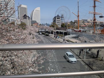 横浜みなとみらい 万葉倶楽部に投稿された画像（2025/4/5）