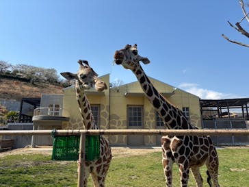 日立市かみね動物園に投稿された画像（2025/4/5）